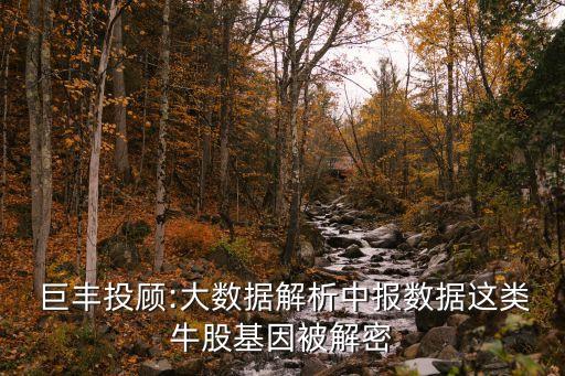  巨豐投顧:大數(shù)據(jù)解析中報(bào)數(shù)據(jù)這類(lèi)牛股基因被解密