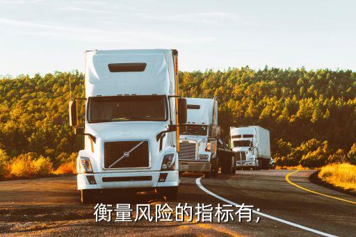 衡量風險的指標有;