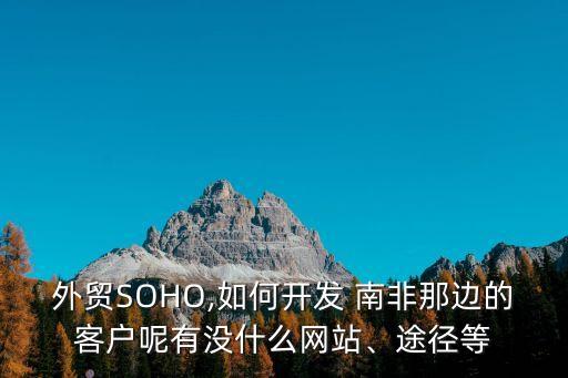 外貿(mào)SOHO,如何開發(fā) 南非那邊的客戶呢有沒(méi)什么網(wǎng)站、途徑等