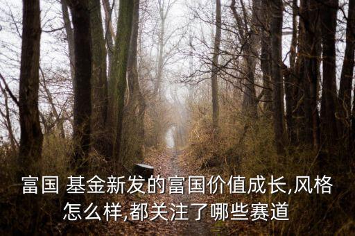 富國 基金新發(fā)的富國價值成長,風格怎么樣,都關注了哪些賽道