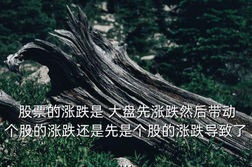  股票的漲跌是 大盤先漲跌然后帶動(dòng)個(gè)股的漲跌還是先是個(gè)股的漲跌導(dǎo)致了...