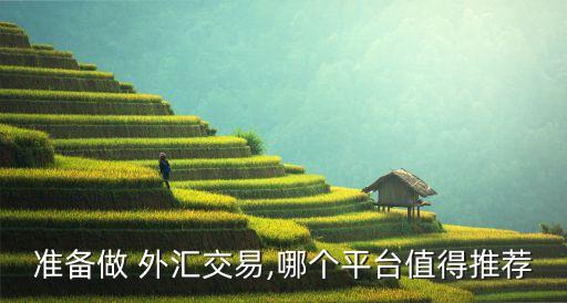 準備做 外匯交易,哪個平臺值得推薦