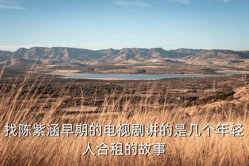 找陳紫涵早期的電視劇講的是幾個年輕人合租的故事