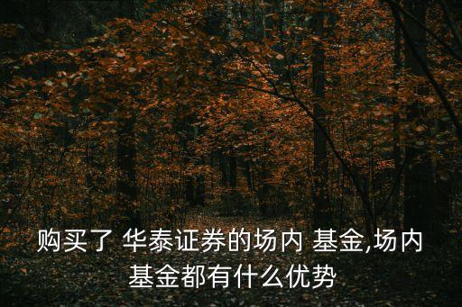 購(gòu)買了 華泰證券的場(chǎng)內(nèi) 基金,場(chǎng)內(nèi) 基金都有什么優(yōu)勢(shì)