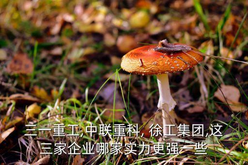 徐工投資印度,徐工印度制造基地