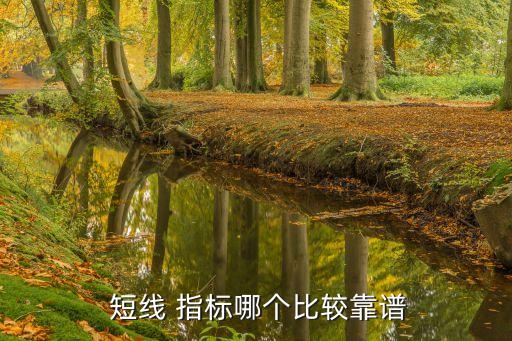  短線(xiàn) 指標(biāo)哪個(gè)比較靠譜