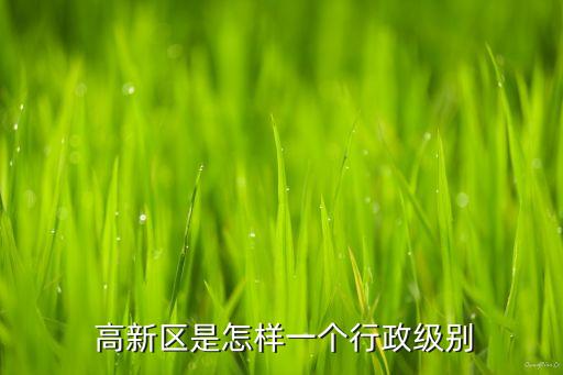  高新區(qū)是怎樣一個(gè)行政級(jí)別