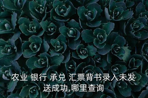 農(nóng)業(yè) 銀行 承兌 匯票背書錄入未發(fā)送成功,哪里查詢