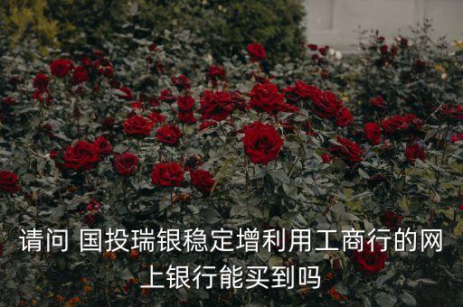 請(qǐng)問 國(guó)投瑞銀穩(wěn)定增利用工商行的網(wǎng)上銀行能買到嗎