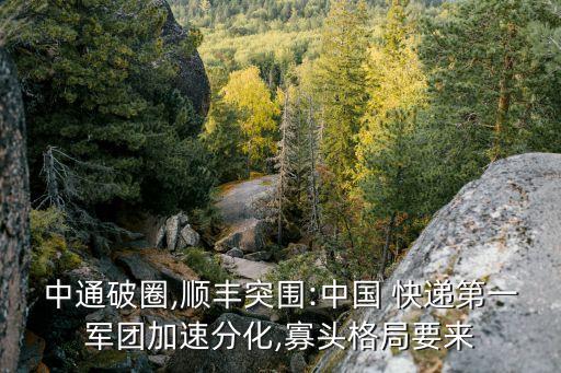 中通破圈,順豐突圍:中國 快遞第一軍團(tuán)加速分化,寡頭格局要來