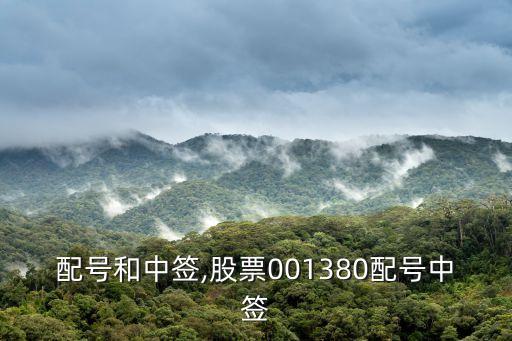 股票配號和中簽,股票001380配號中簽