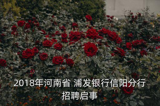 2018年河南省 浦發(fā)銀行信陽分行招聘啟事