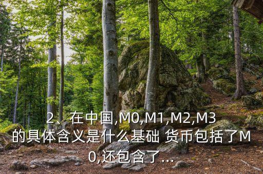 2、在中國,M0,M1,M2,M3的具體含義是什么基礎(chǔ) 貨幣包括了M0,還包含了...