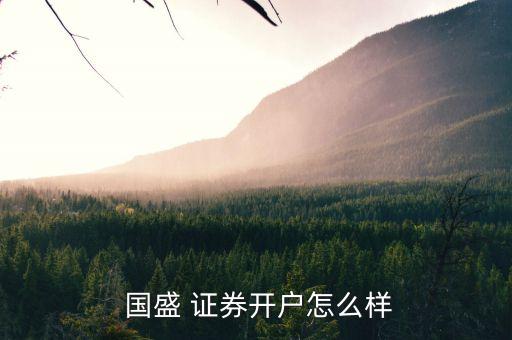  國(guó)盛 證券開(kāi)戶怎么樣