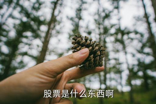 電子股票憑證,股票紙質(zhì)憑證怎么拿