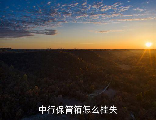 北京中國銀行保險(xiǎn)箱業(yè)務(wù),中國銀行保險(xiǎn)箱業(yè)務(wù)營業(yè)時(shí)間