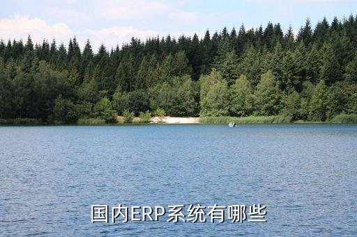 國內(nèi)ERP系統(tǒng)有哪些