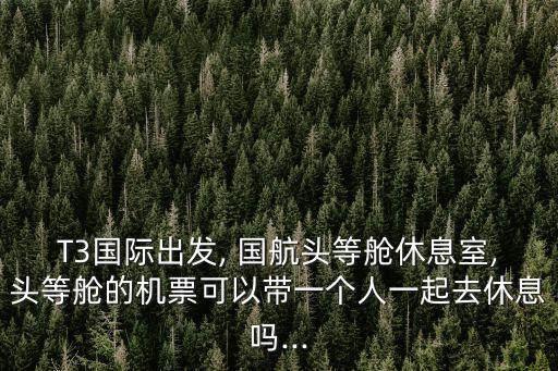 T3國際出發(fā), 國航頭等艙休息室,頭等艙的機(jī)票可以帶一個(gè)人一起去休息嗎...