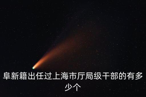 阜新籍出任過上海市廳局級干部的有多少個