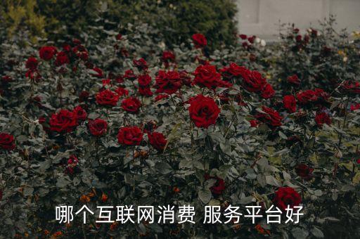 大實代金融信息服務有限公司