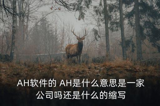  AH軟件的 AH是什么意思是一家 公司嗎還是什么的縮寫