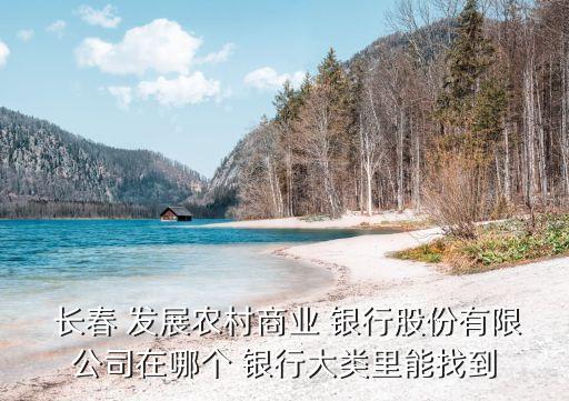  長春 發(fā)展農(nóng)村商業(yè) 銀行股份有限公司在哪個(gè) 銀行大類里能找到