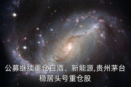 公募繼續(xù)重倉白酒、新能源,貴州茅臺穩(wěn)居頭號重倉股