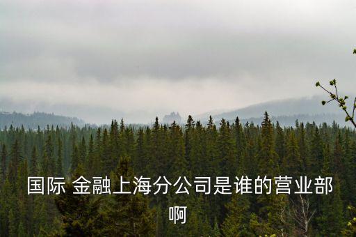  國際 金融上海分公司是誰的營業(yè)部啊