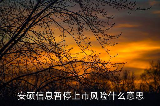  安碩信息暫停上市風(fēng)險什么意思