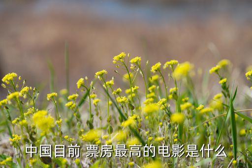 中國目前 票房最高的電影是什么