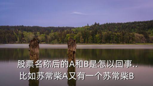  股票名稱后的A和B是怎以回事..比如蘇常柴A又有一個蘇常柴B