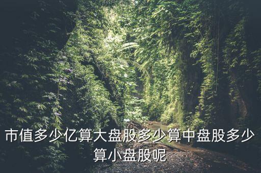 流通盤小于1億股票