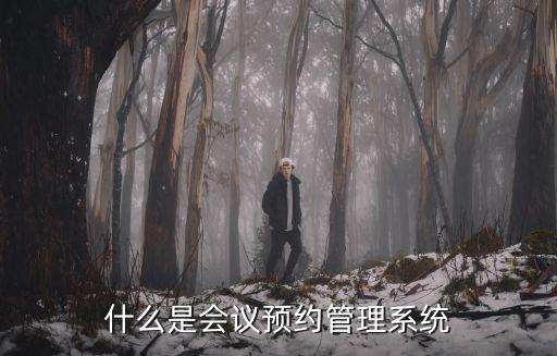 什么是會議預(yù)約管理系統(tǒng)