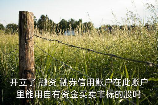 不能融資融券買入ST股票嗎,股票融資融券買入是利好還是利空
