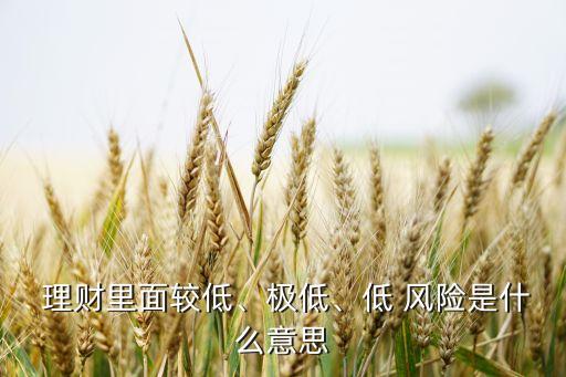  理財里面較低、極低、低 風(fēng)險是什么意思