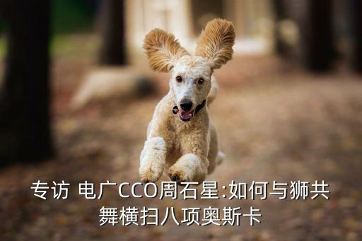 電廣傳媒投資價值