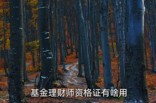  基金理財師資格證有啥用