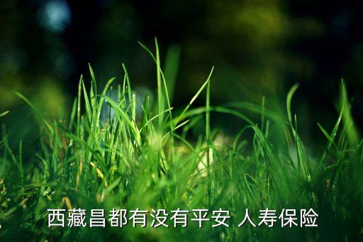  西藏昌都有沒有平安 人壽保險