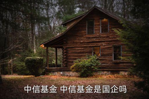 中信水務產(chǎn)業(yè)基金管理有限公司,中信產(chǎn)業(yè)投資基金管理有限公司是國企嗎