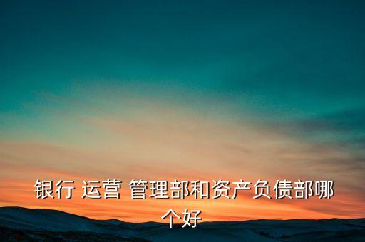  銀行 運(yùn)營(yíng) 管理部和資產(chǎn)負(fù)債部哪個(gè)好