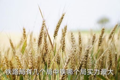 中國(guó)忒路公司,中國(guó)巖路公司