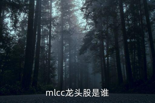 三環(huán)集團(tuán)解禁股,京b摩托車解禁到三環(huán)