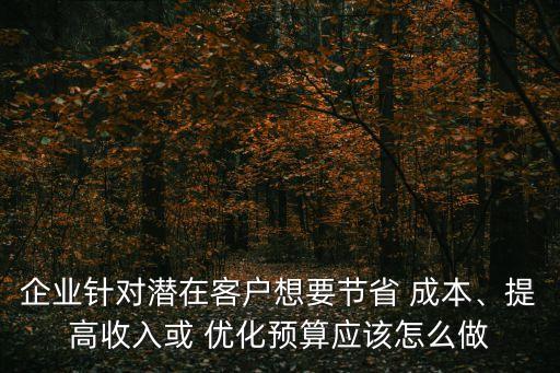 保險(xiǎn)公司財(cái)務(wù)成本優(yōu)化方案