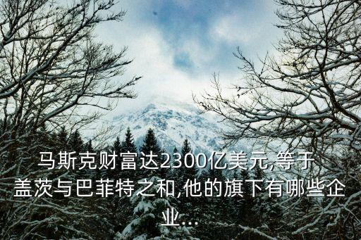 馬斯克財(cái)富達(dá)2300億美元,等于 蓋茨與巴菲特之和,他的旗下有哪些企業(yè)...