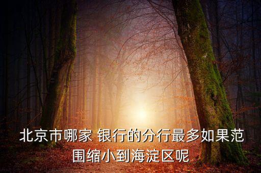  北京市哪家 銀行的分行最多如果范圍縮小到海淀區(qū)呢