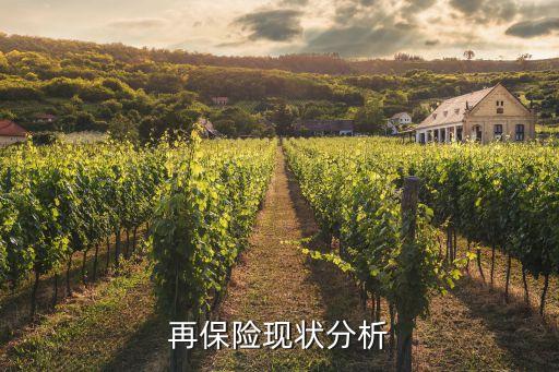 中國再保險的發(fā)展