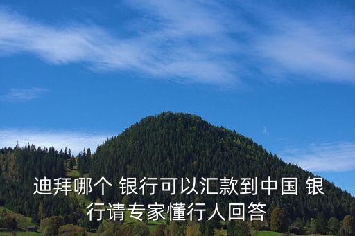  迪拜哪個(gè) 銀行可以匯款到中國(guó) 銀行請(qǐng)專(zhuān)家懂行人回答