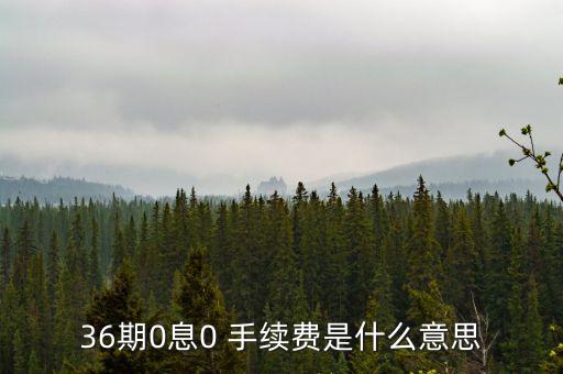 36期0息0 手續(xù)費(fèi)是什么意思