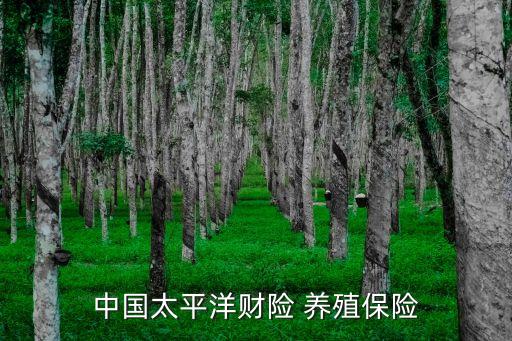中國(guó)太平洋財(cái)險(xiǎn) 養(yǎng)殖保險(xiǎn)