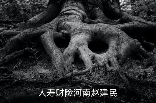 人壽財險河南趙建民